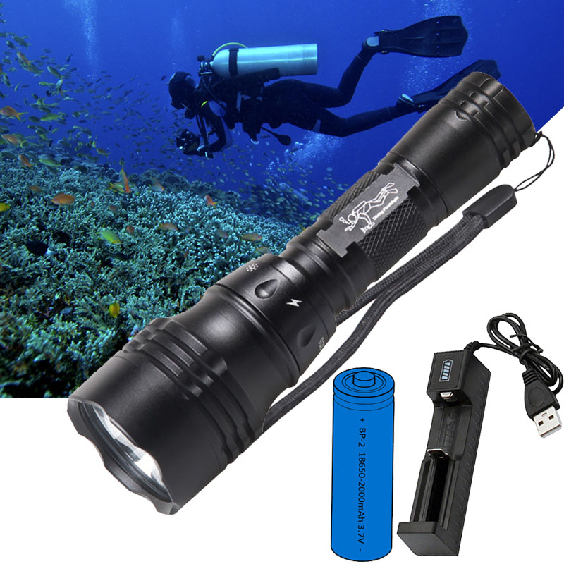 Fish Finder Charger - Lámpara de Buceo Portátil de 10W